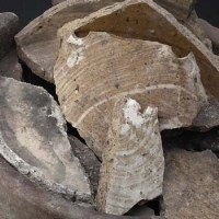 Lot 246 - Collection of Staffordshire pot bank dig finds.