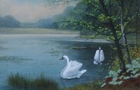 Lot 623 - A. Connelly, Swans on a lake and another, watercolour (2)