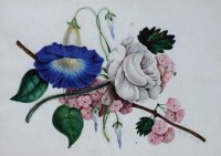 Lot 633 - M.K., 19th century, Botanical studies, watercolour (6)