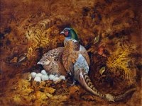 Lot 58 - Brian Needham, Pheasants, oil
