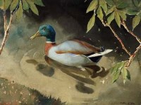 Lot 83 - Arthur Gay, Mallard, watercolour