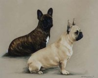 Lot 79 - B.P. Olerenshaw, French bulldogs, gouache