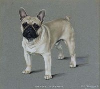 Lot 82 - B.P. Olerenshaw, Mismees Benjamin, gouache (3)