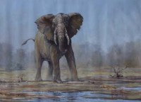 Lot 62 - Ignatius Marx, Bull elephant, oil