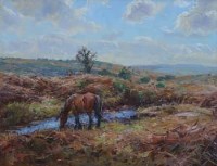Lot 8 - B.A. Peckham, Pony at Ashley Heath, New Forest, oil