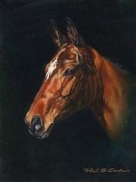 Lot 78 - Peter S.Carter, Basurita, oil