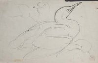 Lot 86 - C. F. Tunnicliffe, Gannets, pencil