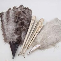 Lot 365 - Six fans, Two Ostrich feathers (6).