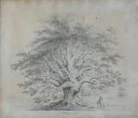 Lot 151 - E.A. Leyson, The Golynos Oak near Bassaleg, Monmouthshire, pencil