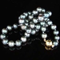 Lot 389 - Black cultured pearl single stand necklace, on