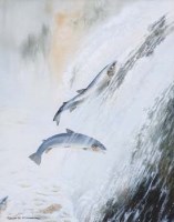 Lot 116 - Ralph S. Coventry, Salmon leaping, watercolour