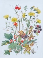 Lot 144 - Patience Arnold, Still life studies, watercolour (2).