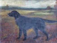 Lot 205 - Herbert St. John Jones, Taffy, oil