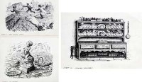 Lot 187 - C. F. Tunnicliffe, More Singing Games, My Garden and Country Dressers, scraperboard (3)