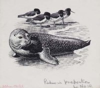 Lot 201 - C.F. Tunnicliffe, seal, scraperboard