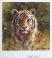 Lot 236 - After David Shepherd, Four Cubs, signed ltd edition prints (4)
