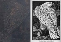 Lot 253 - C.F. Tunnicliffe, Greenland Falcon with Wildfowl, woodblock