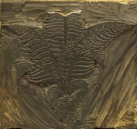 Lot 258 - C.F. Tunnicliffe, fern, woodblock