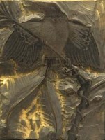 Lot 266 - C.F. Tunnicliffe, bird of paradise, woodblock