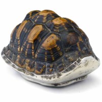 Lot 264 - Silver mounted terrapin carapace box