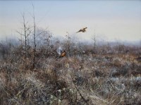 Lot 365 - Pieter Verstappen, 20th century, Pheasants rising from marshland, acrylic.