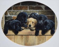 Lot 429 - Nigel Hemming, Seven Up, oil, together with book (2).