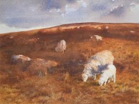 Lot 503 - David Tress, Sheep and Lamb, Dark Moorland, watercolour.