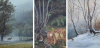 Lot 526 - Jeremy Paul, Three wildlife studies, watercolours (3).