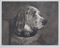 Lot 586 - Thomas Landseer, after Sir Edwin Landseer, 'Odin', engraving.