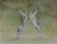 Lot 395 - Mike Salt, 20th century, Hares, watercolours (2).