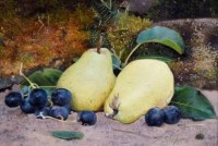 Lot 439 - Derek Shapiro, Still life of pears and grapes, oil on board.