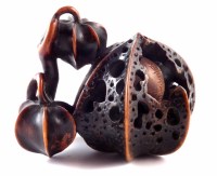 Lot 159 - Late 18th century early 19th century Japanese Edo period carved hardwood Hozuki fruit by Toyomasa