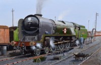 Lot 280 - Richard Simm, Southern Railway steam locomotive in a siding, oil.