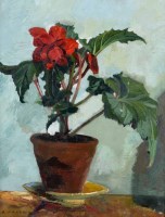 Lot 324 - Reginald Haggar, Still life study of a potted begonia, oil.