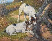 Lot 374 - Alfred Went, Study of two terriers at a hole, oil.