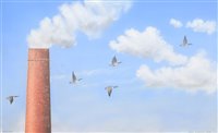 Lot 459 - Dave Hartley, "In Flight", pastel.