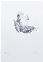 Lot 577 - Sarah Gillespie, "Falling Bee" & "Outside" etchings and another "Pool Frog" drawing (3).