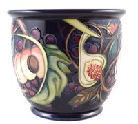 Lot 259 - Moorcroft Queens Choice jardinière