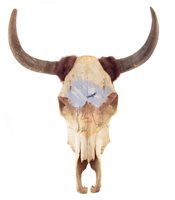 Lot 58 - Cow Skull rifle stand